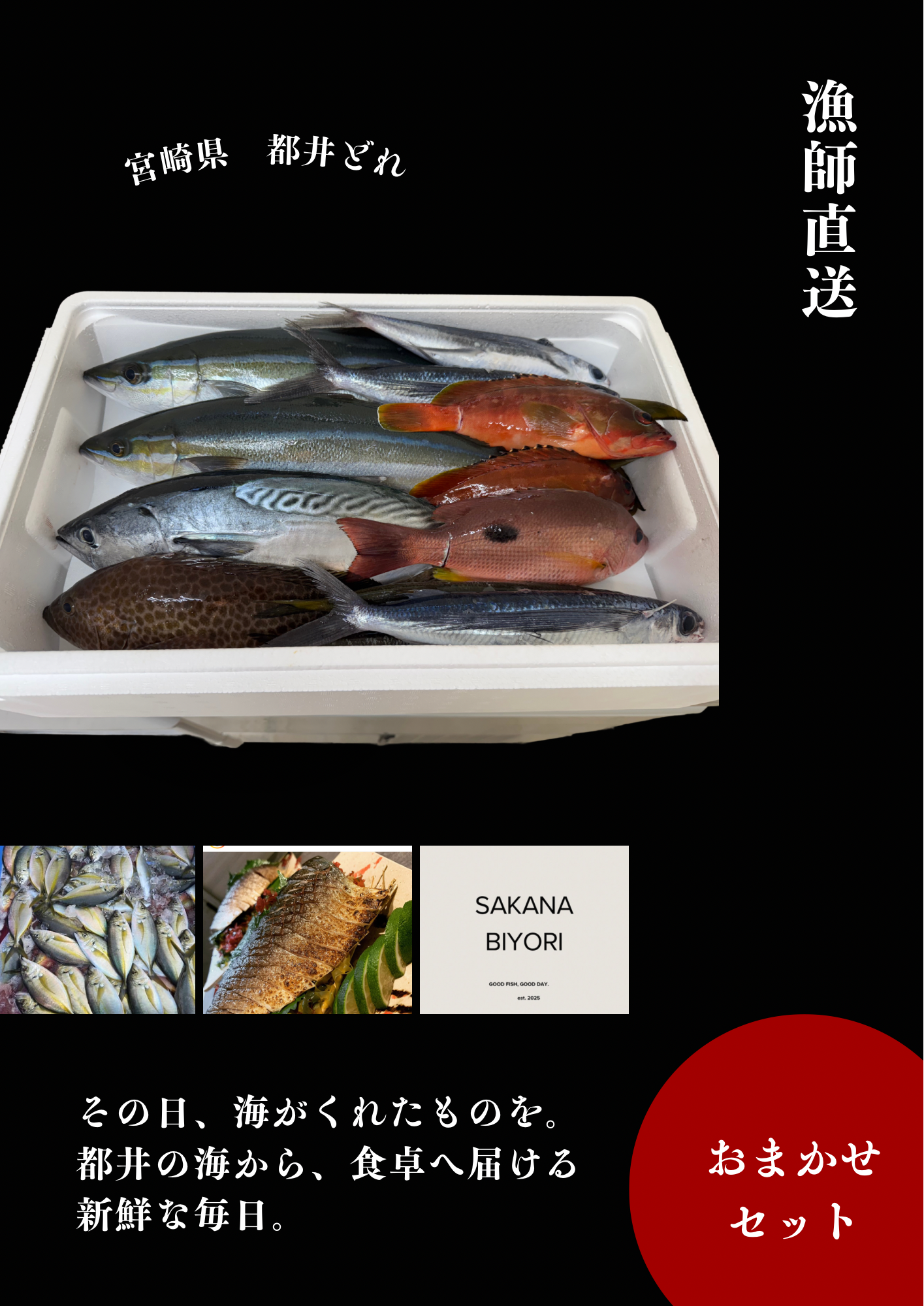 家族で楽しむたっぶり鮮魚便6㎏