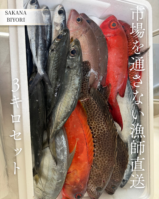 おうちごちそう便3㎏