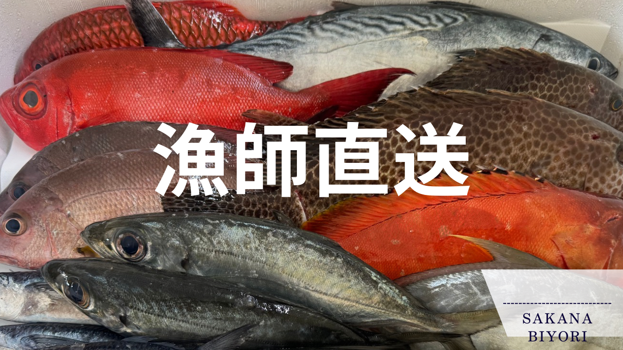 家族で楽しむたっぶり鮮魚便6㎏